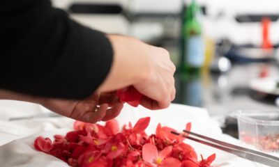  ‣ adn24 alassio (sv) | tutto pronto per il festival nazionale cucina con i fiori