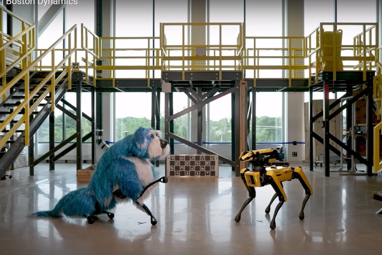  ‣ adn24 tecnologia | sparkles, il cane mezzo robot e mezzo pupazzo