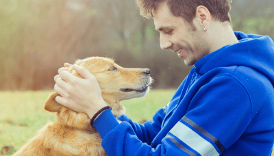  ‣ adn24 curiosità | come scoprire l'incrocio del tuo cane