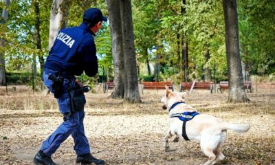  ‣ adn24 empoli | poliziotto trova 2 etti di droga mentre passeggia il cane