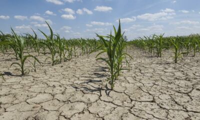  ‣ adn24 siccità in sicilia | tre milioni per progetti su pozzi, dissalatori e condotte idriche