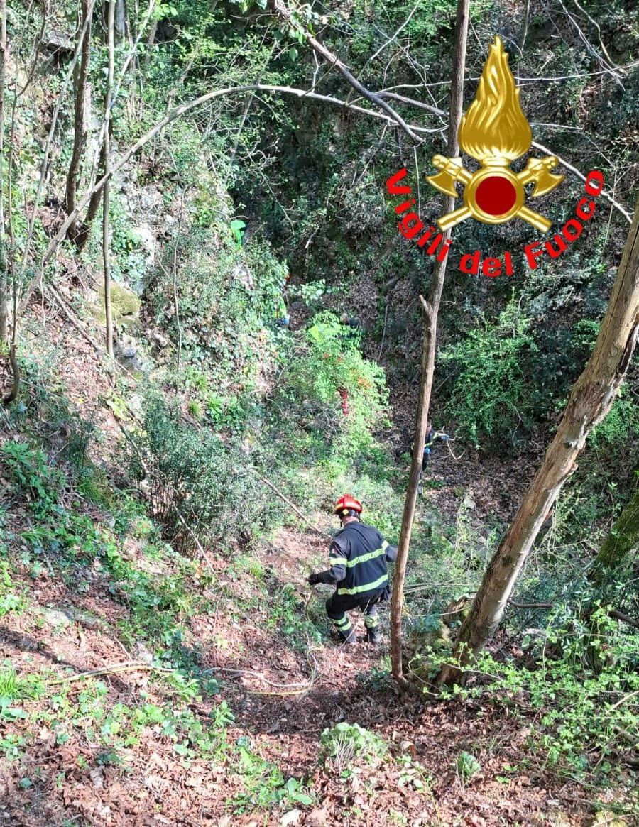 tragedia nel crepuscolo: auto finisce in dirupo, soccorsi al lavoro in una zona impervia ‣ adn24 03