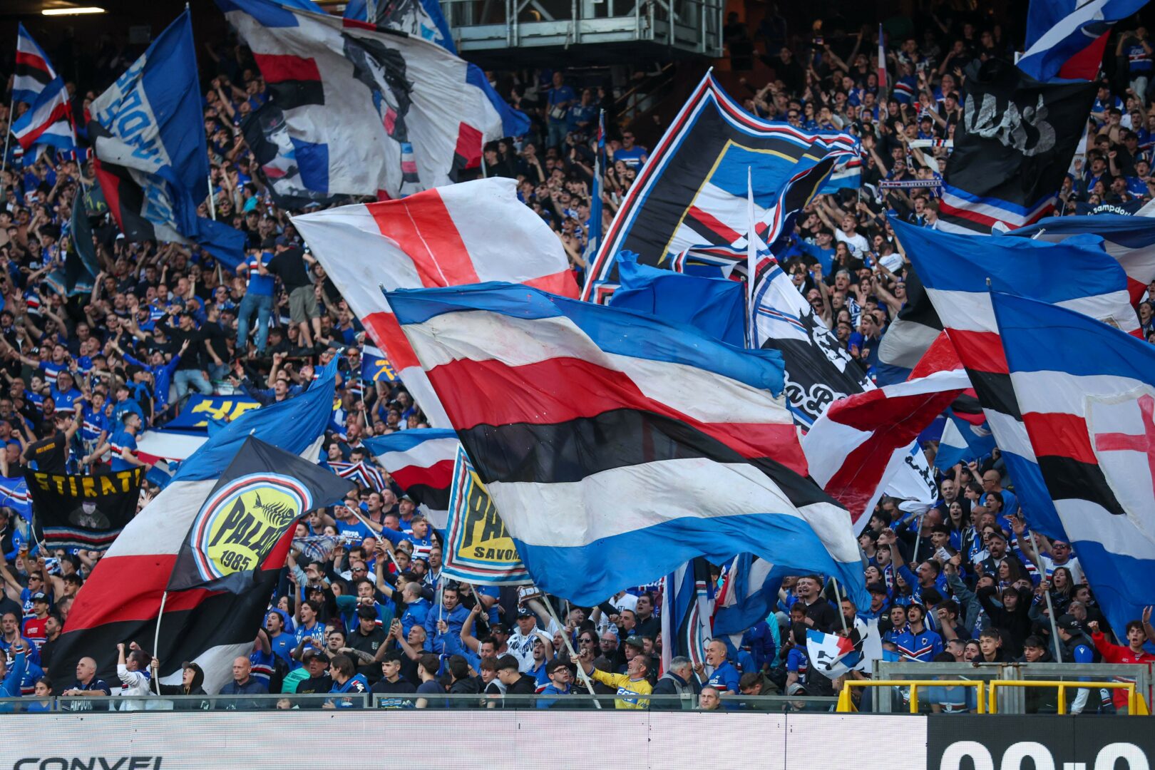 la sampdoria retrocede in serie c, playout frosinone-salernitana: tutti i verdetti ‣ adn24 14
