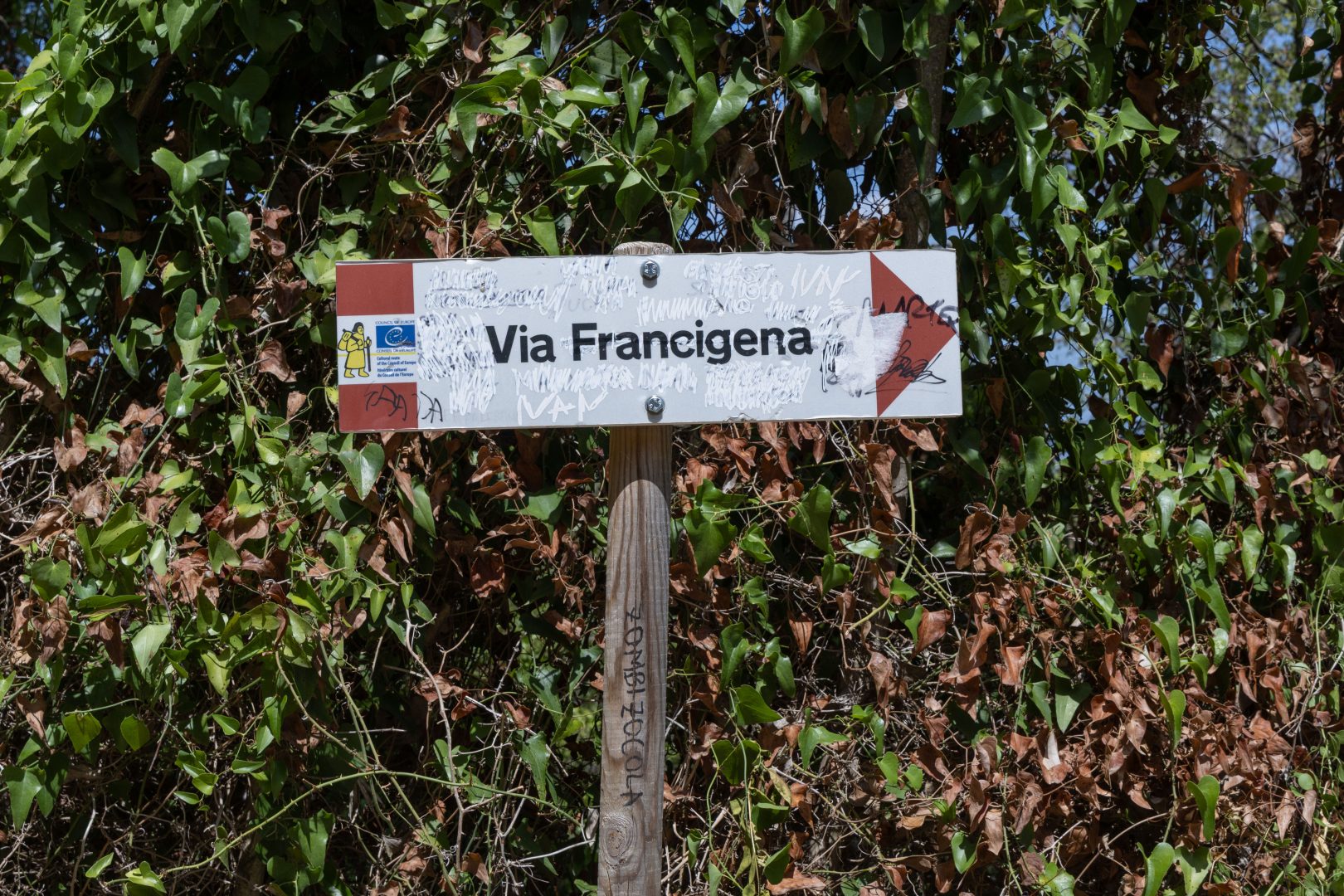 In Salento la Via Francigena del Sud diventa un modello di accessibilità
