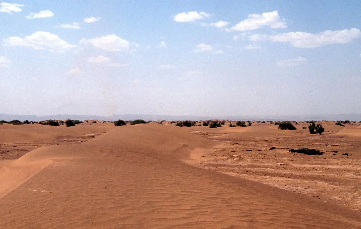 Sahara Occidentale, il Per&ugrave; sostiene la sovranit&agrave; del Marocco e annuncia l&rsquo;apertura di un consolato a Dakhla