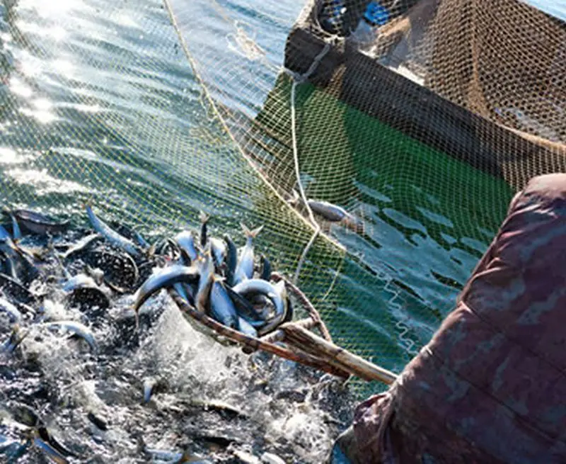 Malta mette in campo i droni contro la pesca di frodo